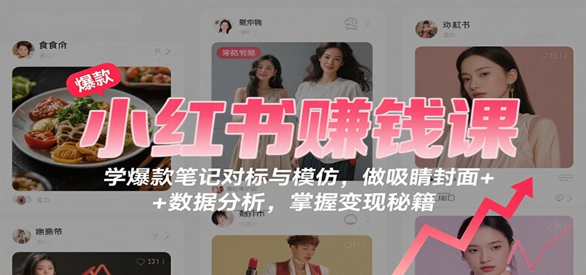 小红书赚钱课：学爆款笔记对标与模仿，做吸睛封面 + 数据分析，掌握变现秘籍-大川资源分享站