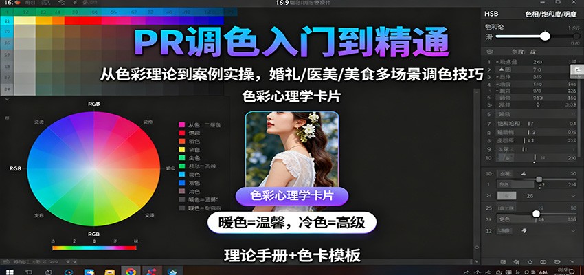 PR调色入门到精通:从色彩理论到案例实操,婚礼/医美/美食多场景调色技巧-大川资源分享站