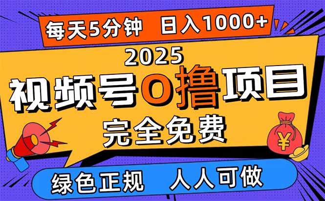 2025视频号0撸项目，5分钟一个号，日入1000+，人人可做-大川资源分享站