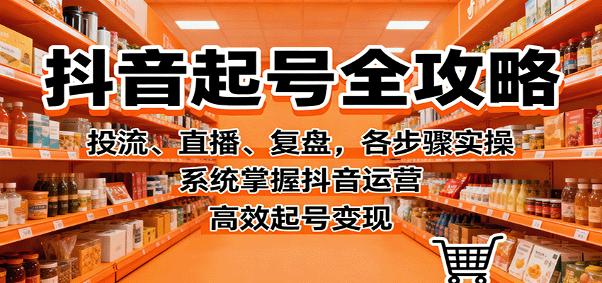 抖音起号全攻略，投流、直播、复盘，各步骤实操，系统掌握抖音运营，高效起号变现-大川资源分享站