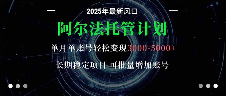 阿尔法托管计划 单账号月入3000-5000，长期稳定项目，新手小白轻松上手。-大川资源分享站