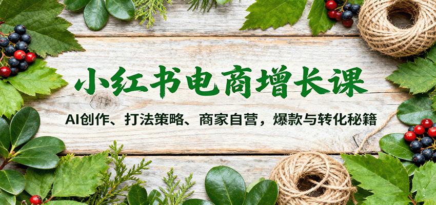 小红书电商增长课:AI创作、打法策略、商家自营,爆款与转化秘籍-大川资源分享站