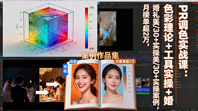 PR调色实战课：色彩理论+工具实操+婚礼医美/30+实操案例，月接单超2万-大川资源分享站