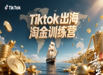 Tiktok出海淘金训练营，跨境电商TK实战变现-大川资源分享站