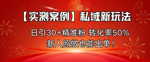 【实测案例】私域新玩法，日引30+精准粉，转化率50%，新人照做也能出单！-大川资源分享站