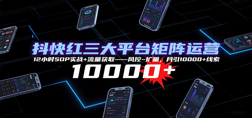 抖快红三大平台矩阵运营，12小时SOP实战+流量获取-风控-扩量，月引10000+线索-大川资源分享站