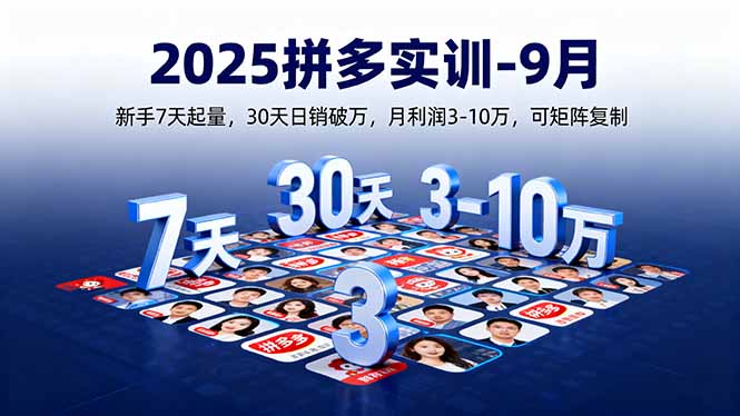 2025拼多多实训-9月:新手7天起量,30天日销破万,月利润3-10万,可矩阵复制-大川资源分享站