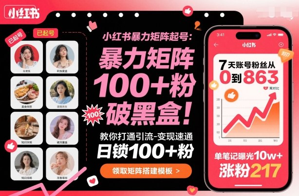 小红书暴力矩阵起号，教你打通引流-变现速通，日锁100+粉，破流量黑盒-大川资源分享站
