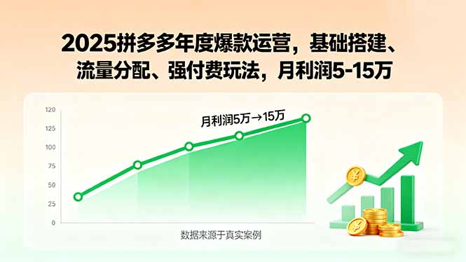 2025拼多多年度爆款运营,基础搭建、流量分配、强付费玩法,月利润5-15万-大川资源分享站