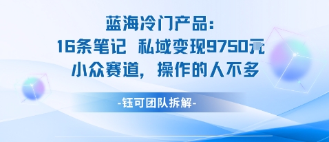 蓝海项目：16条笔记私域变现9750米小众赛道操作的人不多-大川资源分享站