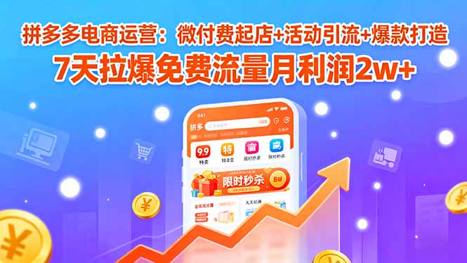 拼多多电商运营:微付费起店+活动引流+爆款打造 7天拉爆免费流量月利润2w+-大川资源分享站
