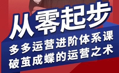 拼多多运营进阶系统课，从零起步，多多运营进阶体系课，破茧成蝶的运营之术(更新9月)-大川资源分享站