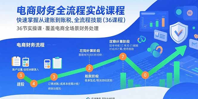 电商财务全流程实战课程：快速掌握从建账到报税的全流程技能(36节课-大川资源分享站