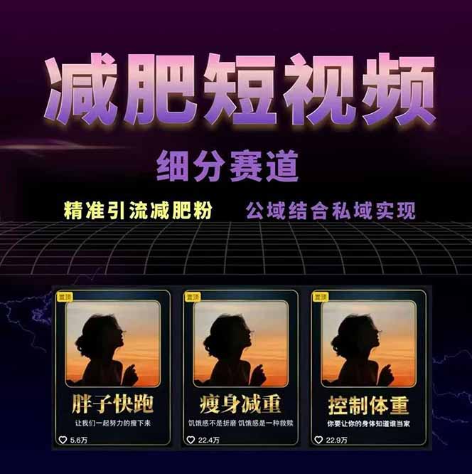 图片[1]-减肥短视频赛道运营课：素材准备-视频制作-引流变现全流程 (附素材-白蛇网赚