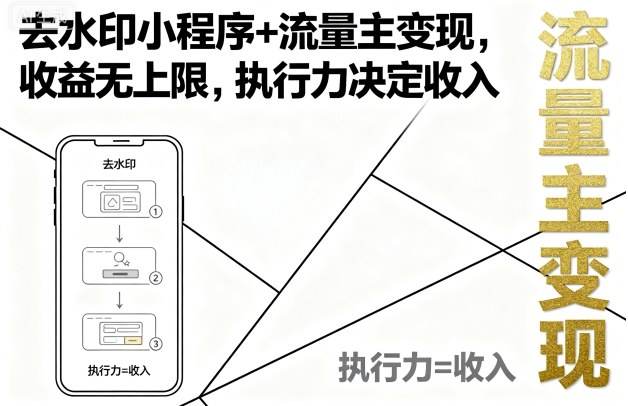去水印小程序+流量主变现，收益无上限，执行力决定收入-大川资源分享站