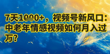 7天收益1k+,视频号新风口:中老年情感视频如何月入过W?-大川资源分享站