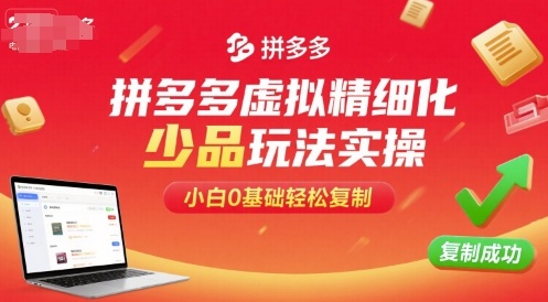 拼多多虚拟精细化少品玩法实操，小白0基础轻松复制-大川资源分享站