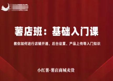 小红薯薯店商城卖货,基础入门课,教你如何进行店铺开通、后台设置、产品上传等入门知识-大川资源分享站