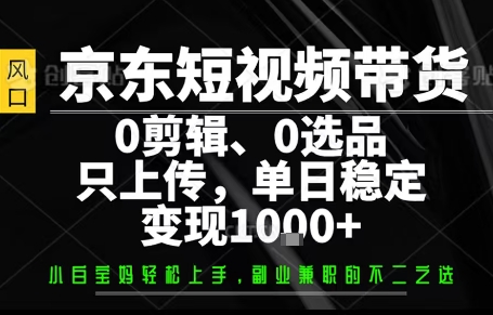 你出账号,我来运营,保底日入1k+,开启躺賺模式【揭秘】-大川资源分享站