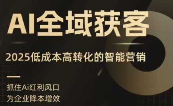 AI全域获客实训营,2025低成本高转化的智能营销,精准找客,高效营销-大川资源分享站