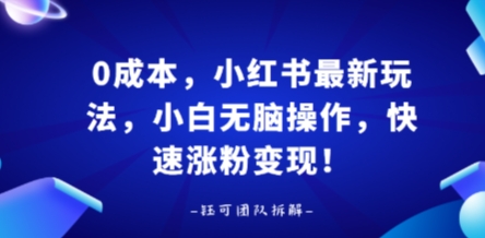 0成本，小红书最新玩法，小白无脑操作，快速涨粉变现-大川资源分享站