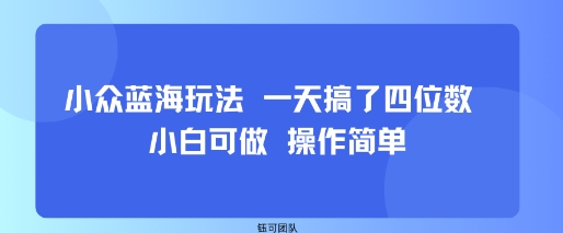 小众蓝海玩法 一天搞了四位数 小白可做 操作简单-大川资源分享站