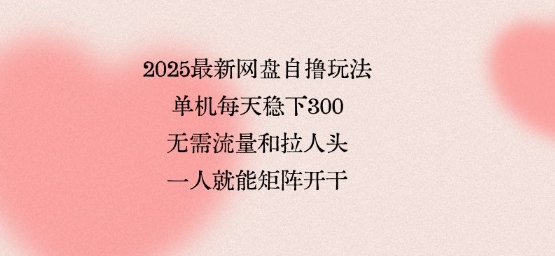 2025最新网盘自撸玩法,单机每天稳下3张,无需流量和拉人头,一个人就可轻松矩阵,全网独一份【揭秘】-大川资源分享站