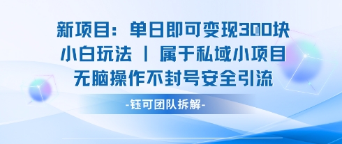 新项目单日即可变现3张的小白玩法无脑操作不封号安全引流-大川资源分享站