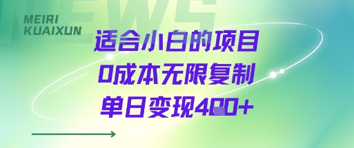 适合小白的项目0成本无限复制单日变现4张+-大川资源分享站