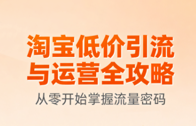 淘宝低价引流与运营全攻略(更新9月)-大川资源分享站
