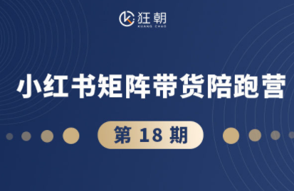 盗坤·抖音小红书视频号短视频带货与直播变现(11-18期)-大川资源分享站