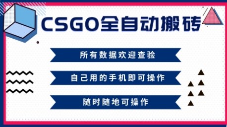 CSGO全自动搬砖，年底钱回家好项目，当天可拿到结果，新手小白轻松月入1W+【揭秘】-大川资源分享站