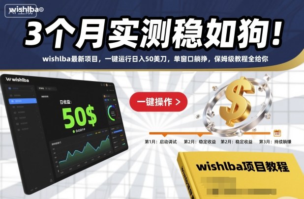 3个月实测稳如狗!wishlba最新项目,一键运行日入50美刀,单窗口躺挣,保姆级教程全给你【揭秘】-大川资源分享站