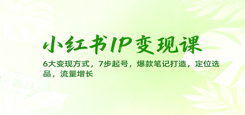 小红书IP变现课：6大变现方式，7步起号，爆款笔记打造，定位选品，流量增长-大川资源分享站