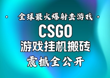 【年底大揭秘】基于全球最火爆的射击CSGO游戏挂G搬砖，日入5张+，震撼公开-大川资源分享站