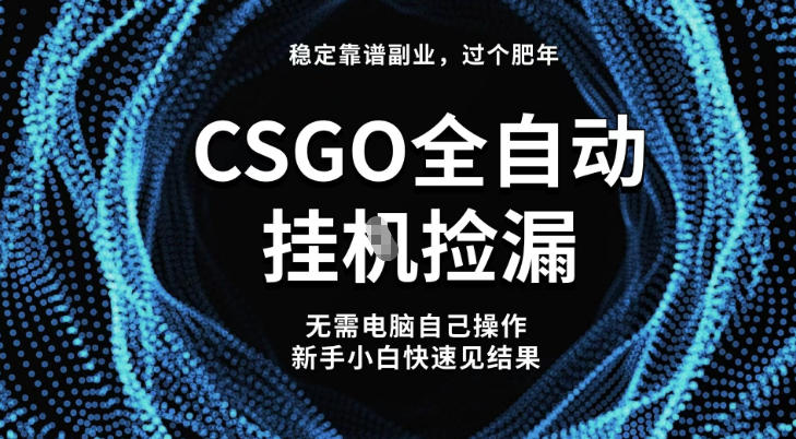 【稳定副业】全球最热门游戏CSGO全自动捡漏,最新玩法,新手小白日入5张+【揭秘】-大川资源分享站
