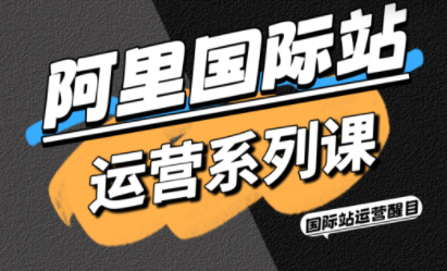 醒目老师·阿里国际站运营系列课(更新11月)-大川资源分享站