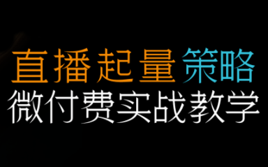 半野老师·直播带货起量与微付费必学课视频号-大川资源分享站