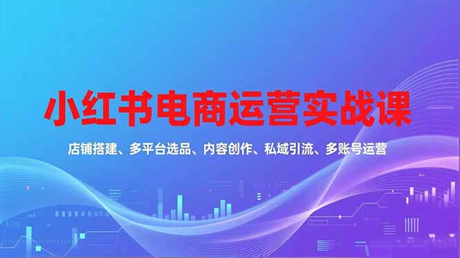 小红书电商运营实战课，店铺搭建、多平台选品、内容创作、私域引流、多账号运营等玩法-大川资源分享站