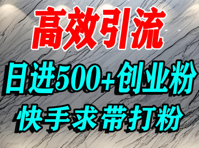 怎么打创业粉?快手求带视角精准引流创业粉,宝妈、学生群体日进500+精准流量-大川资源分享站