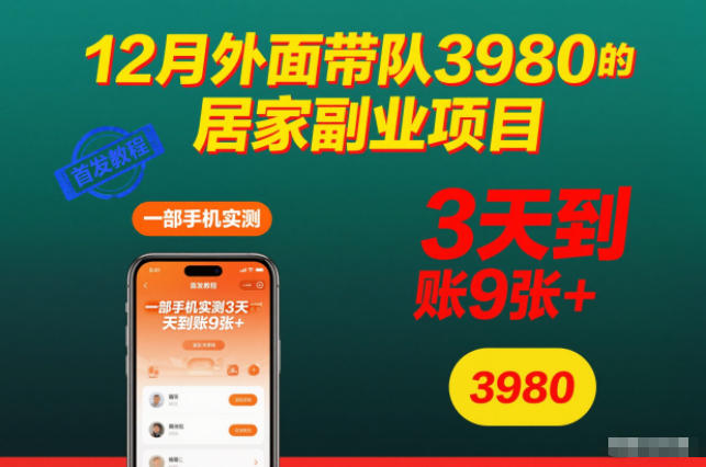 12月外面带队3980的居家副业项目，一部手机实测3天到账9张+，首发教程【揭秘】-大川资源分享站