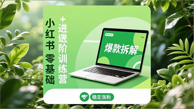 小红书零基础+高阶训练营:安全养号、爆款拆解、长效运营,实现稳定涨粉与变现-大川资源分享站