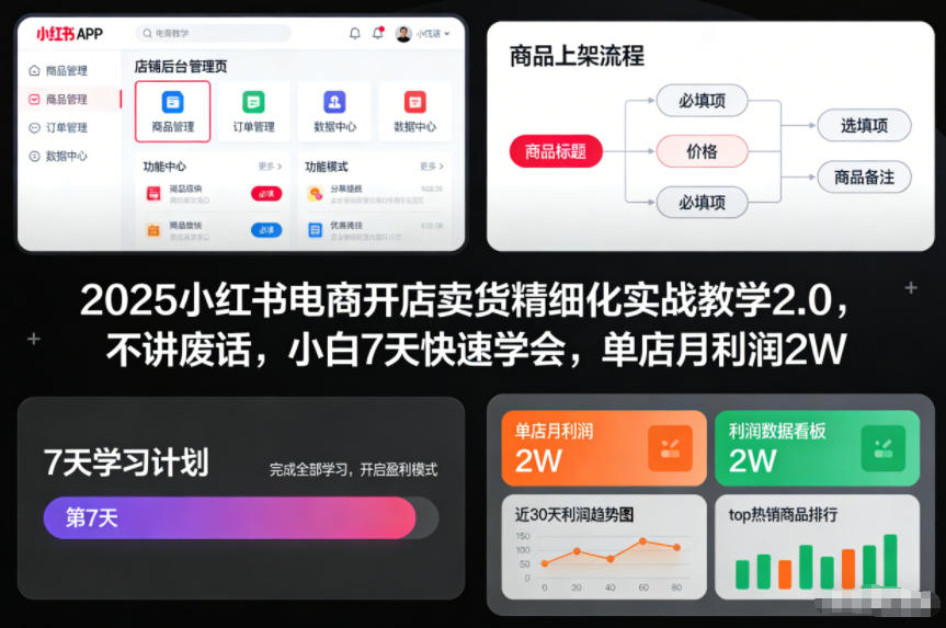 2025小红书电商开店卖货精细化实战教学2.0，不讲废话，小白7天快速学会，单店月利润2W-大川资源分享站