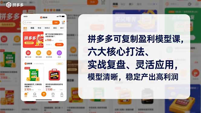 拼多多可复制盈利模型课，六大核心打法、实战复盘、灵活应用，模型清晰，稳定产出高利润-大川资源分享站