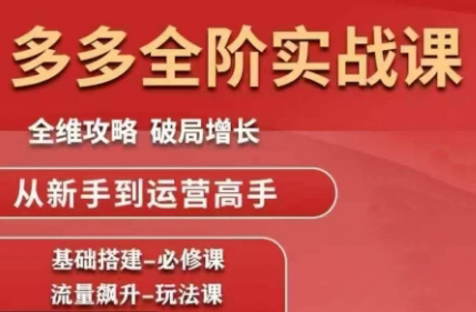 大炮·拼多多全阶实战课程(更新2026)-大川资源分享站