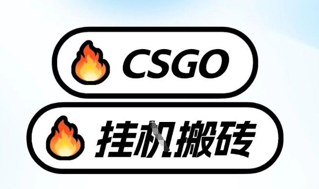 真全网独家CSGO挂G，最新玩法,单日捡漏1K+，不用电脑，不用打游戏【揭秘】-大川资源分享站