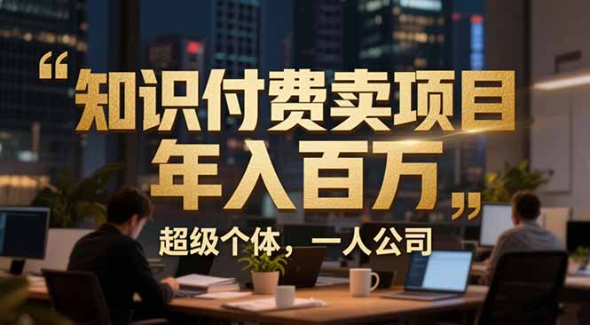 从0到年入百万:超级个体实战心得公开,个人IP×精准引流×成交系统全拆解-大川资源分享站