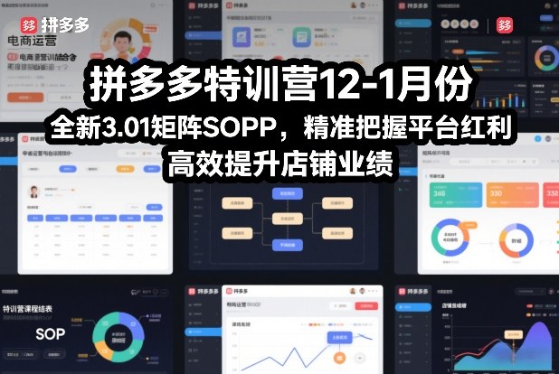 拼多多特训营12-1月份，全新3.01矩阵Sop，精准把握平台红利，高效提升店铺业绩-大川资源分享站