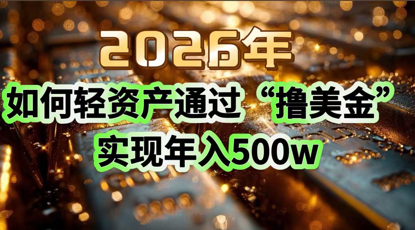 2026年如何轻资产通过“撸美金”实现年入500w-大川资源分享站