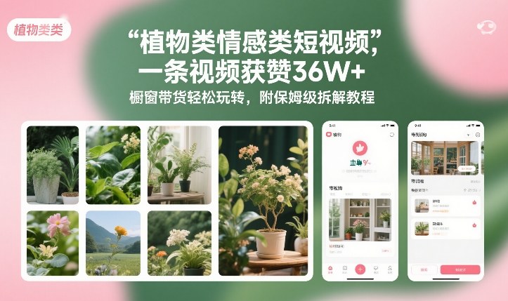 植物类情感类短视频，一条视频获赞36W+，橱窗带货轻松玩转，附保姆级拆解教程-大川资源分享站